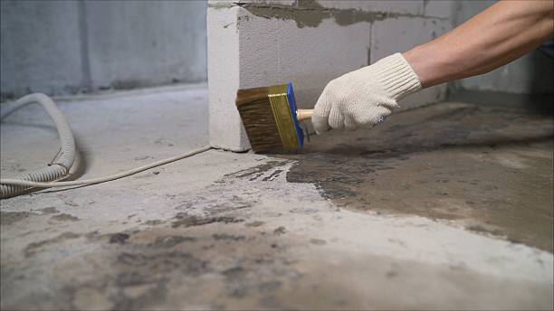 SJ Waterproofing Pros Waterproofing coverage map for Montgomery, MN and surrounding area
